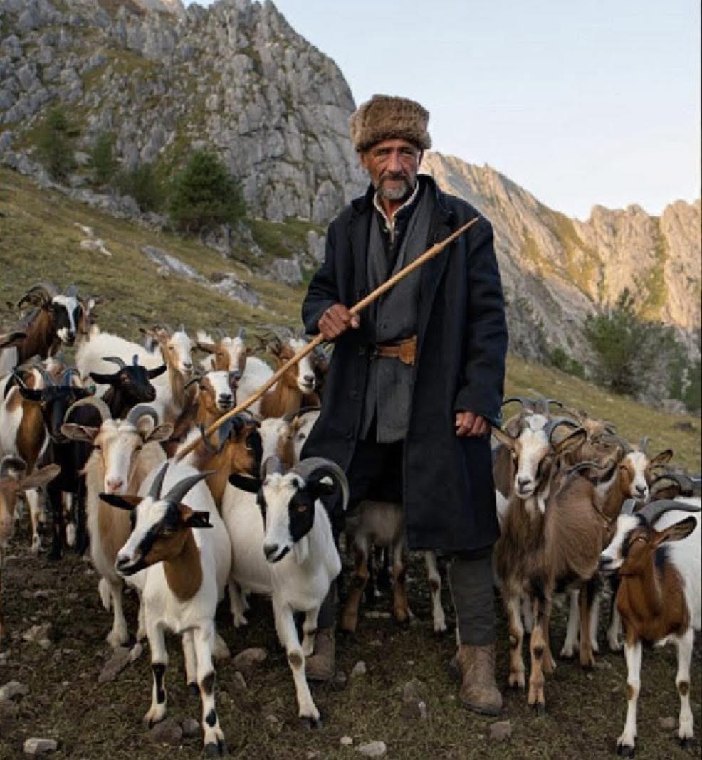 Căpitanul de capre a dispărut în munți în 1994, iar după 29 de ani, o turmă de capre